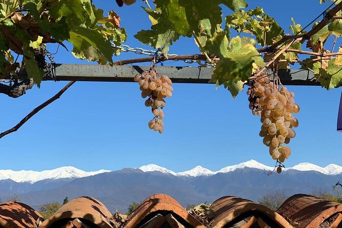 ️ Kakheti tour - Private Full Day Wine tour with Lunch and Wine tasting - Your full-day plan from 9:30 AM