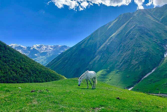️Private Full-Day Tour to Mtskheta and Kazbegi(stepantsminda) from Tbilisi - Zhinvali Reservoir and the Military Highway views