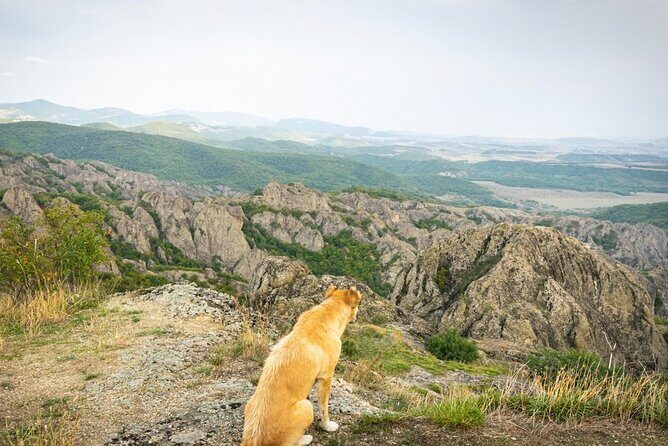 1 day hiking in Birtvisi Canyon from Tbilisi - Should You Book the Birtvisi Canyon Day Hike?