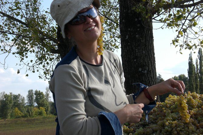 2-Day Private Wine Tour to Kakheti from Tbilisi - Price and value: $470 per person, and what you’re actually paying for