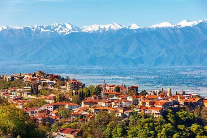 2 Full Day Private Tours from Tbilisi - Pace check: the one thing that could feel tight