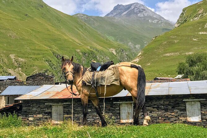 3 Day Tusheti Tour Explore Unspoiled Wilderness - Price and Value: What $335 Covers (and What It Doesn’t)
