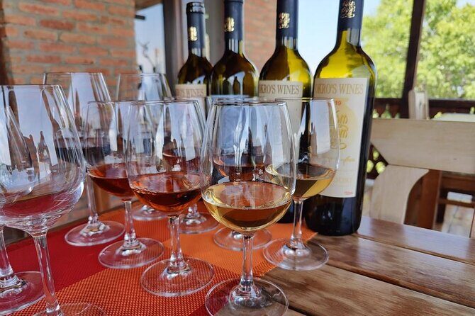 3 Organic Wineries Private Day Trip to Wine Province With Lunch and Tastings - Stop 1: Vellino Wine Cellar and meeting the makers behind young organic wine