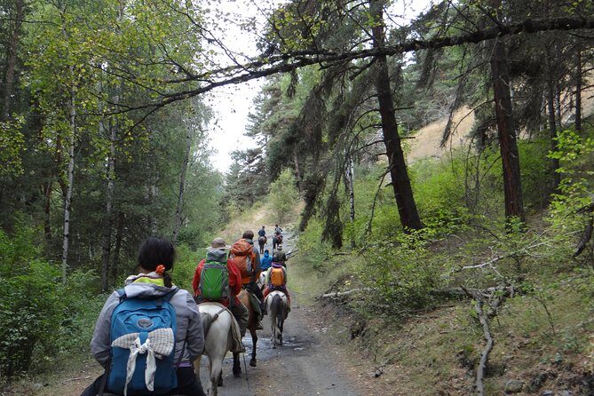7-day hiking expedition to Tusheti through the Atsunta pass - Price and value: what $1,190 buys in the remote mountains