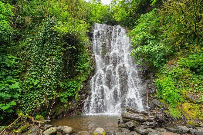 Adjarian Mountains Waterfalls Wine Tour Best views from Batumi Kobuleti - Key highlights you’ll care about before booking
