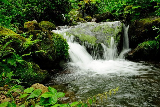 Adjarian Mountains Waterfalls Wine Tour Best views from Batumi Kobuleti - Guide energy makes the route feel like a story (Iraklia stands out)