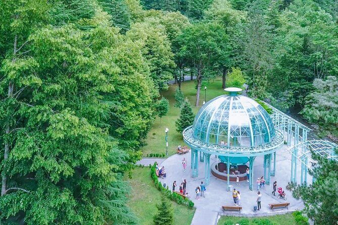 Bakuriani-Borjomi full day trip - Transport comfort: air-conditioned rides and practical handoffs