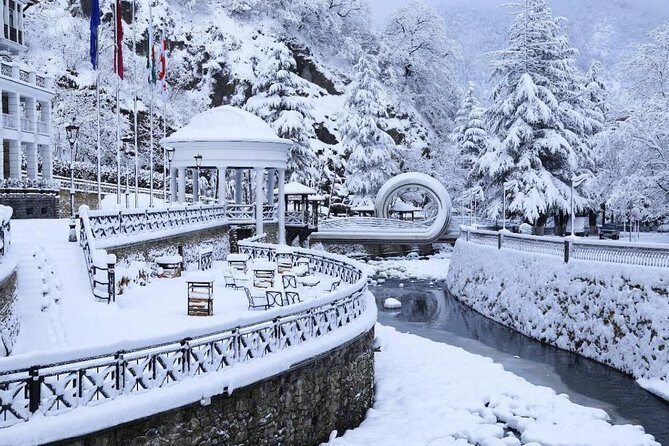 Bakuriani-Borjomi full day trip - The guide factor: why David’s approach shows up in the reviews