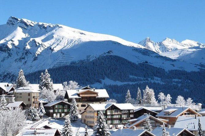 Bakuriani ski resort and the legendary Borjomi (Group Tour) - The Kukushka train moment: travel with views, not just transit