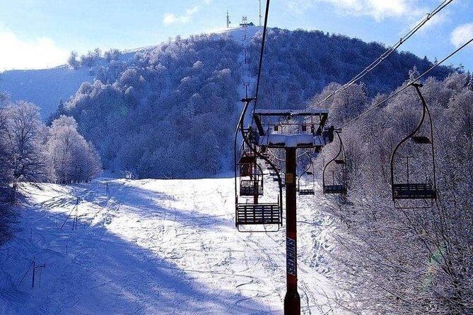 Bakuriani ski resort and the legendary Borjomi (Group Tour) - Price and value: what $55 really buys (and what it doesn’t)