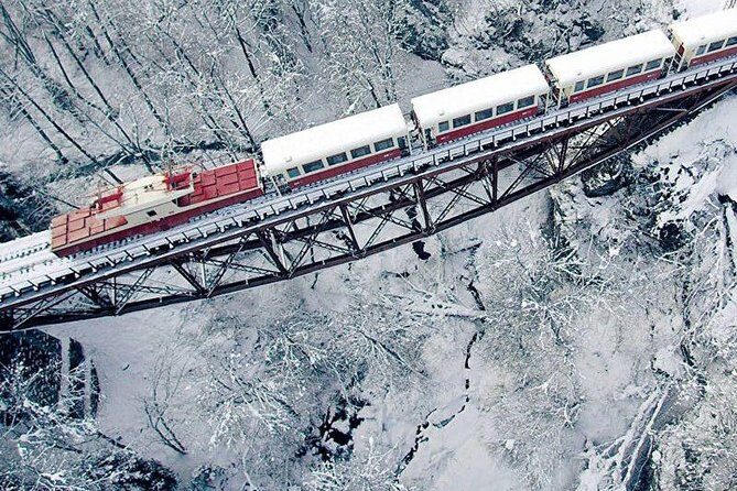 Bakuriani ski resort and the legendary Borjomi (Group Tour) - Getting there from Tbilisi: comfort in the driving seat
