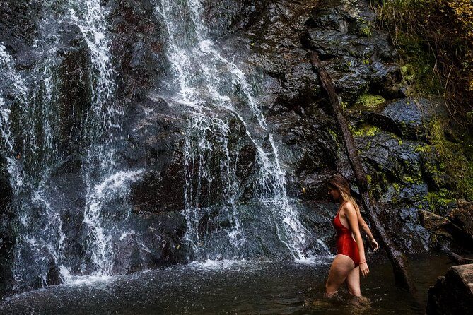 Batumi & Mtirala N.P. Hiking tour from Kutaisi - Price and logistics: where your money really goes