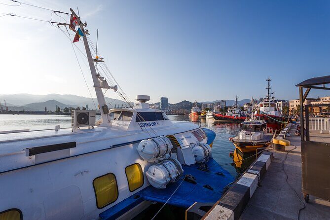 Batumi Walking Tour - Price and Logistics: Great value, with one add-on to plan