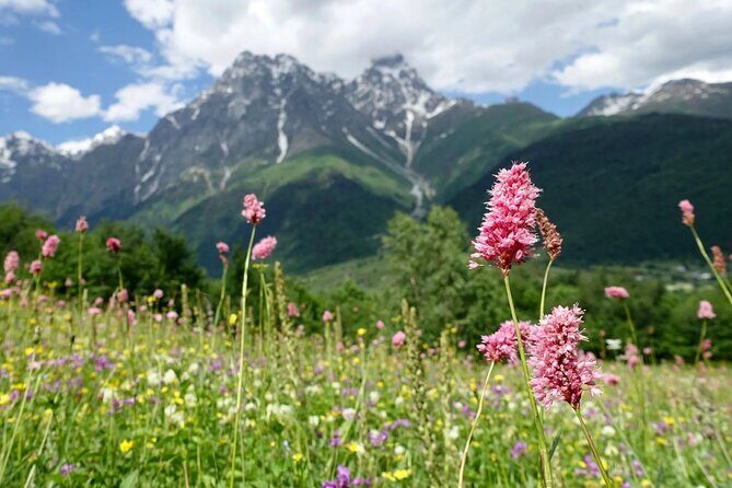 Causacus mountains at Majestic SVANETI and MESTIA from Kutaisi - Mestia arrival: gorgeous town, limited time buffer
