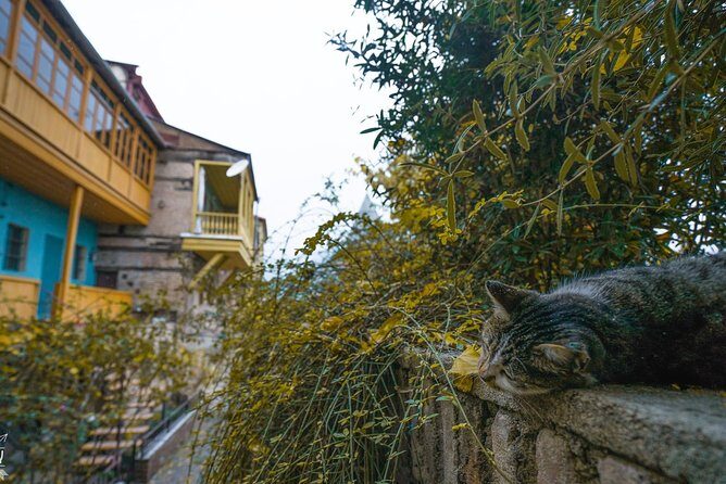 Classic Tbilisi Walking Tour - Gudiashvili Square and the Walk Toward Kldisubani