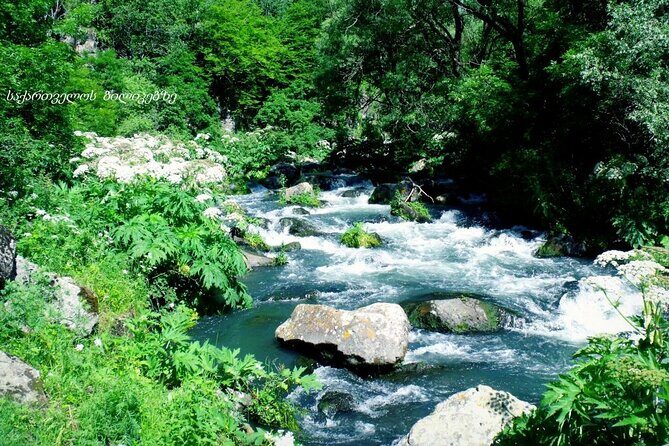 Dashbashi Canyon. The village of Asureti and Didgori monument. - Stop 1: Asureti Village and the German Colony Story (Free)