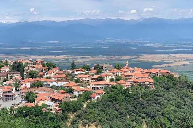 Day tour to Kakheti wine region Georgia - Pirosmanashvili Museum: Art Without the Pretension