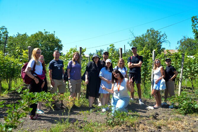 Day Trip to Kakheti Wine Region Including 9 Wine Tastings - Price and value: why $29 can work (and what costs extra)
