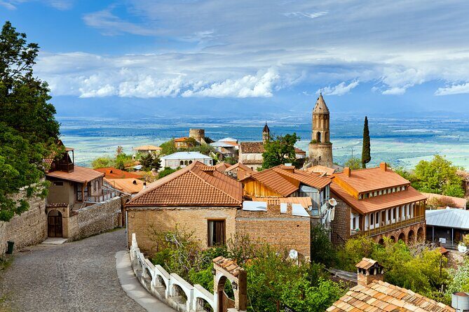 Day Trip to Kakheti Wine Region Including 9 Wine Tastings - Logistics that keep the day stress-free