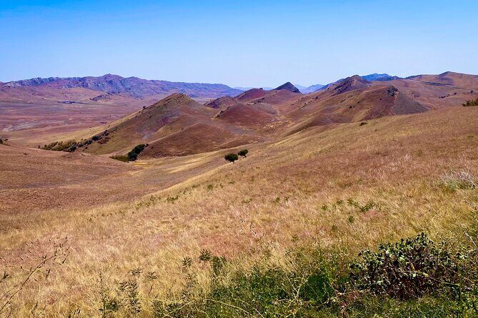 Day Trip to Rainbow Mountains and David Gareja - Udabno Village: the semi-desert scenery you came for