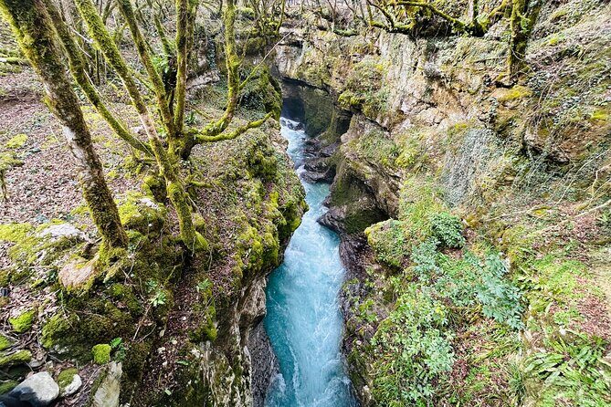 From Kutaisi: Canyons and Caves Tour with Transfer to Tbilisi - The restaurant stop near the cave: when lunch is part of the rhythm