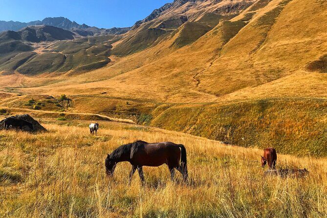 From Tbilisi: Kazbegi Ananuri Gudauri and Trusso Valley by 4x4 - A long, scenic 4x4 day from Tbilisi to Kazbegi and Truso