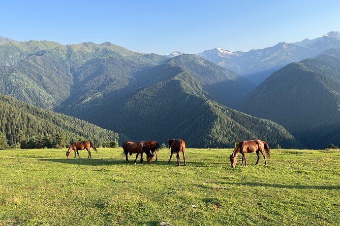 From Tbilisi: Svaneti 4 Days Private tour (Mestia, Ushguli) - Why this Tbilisi-to-Svaneti route fits four days