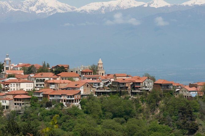 Full Day Private Wine Tour in Kakheti Region with Lunch and 3 Wine Tastings - Key moments I’d plan around