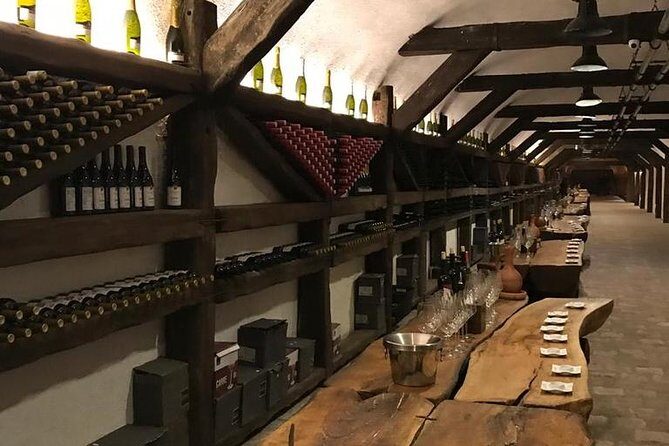 Full Day Private Wine Tour in Kakheti Region with Lunch and 3 Wine Tastings - Who should book this Kakheti wine tour