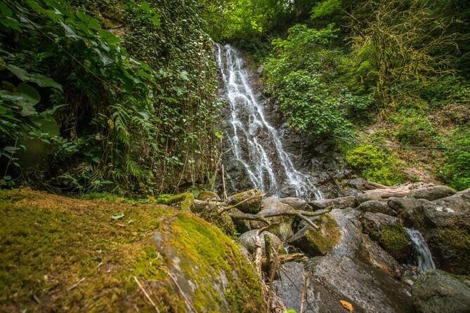 Full Day Tour from Batumi to Waterfalls - Makhuntseti waterfall: 50 meters plus the action zone