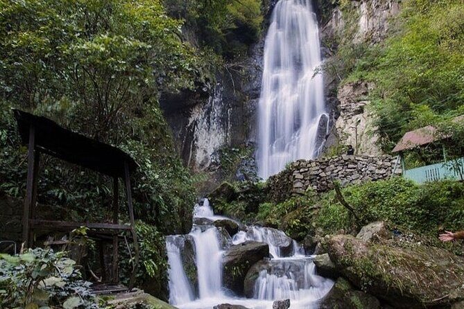 Full Day Tour from Batumi to Waterfalls - Adjarian Wine House: vineyards, tasting halls, and an extra-fee reality