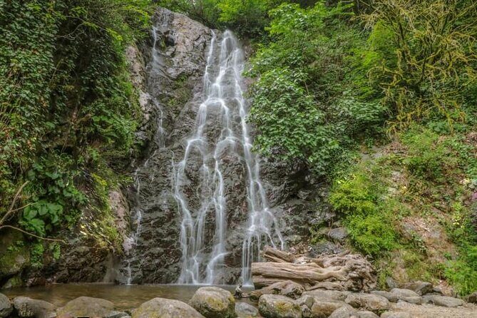 Full Day Tour from Batumi to Waterfalls - Time, comfort, and how pickup actually works