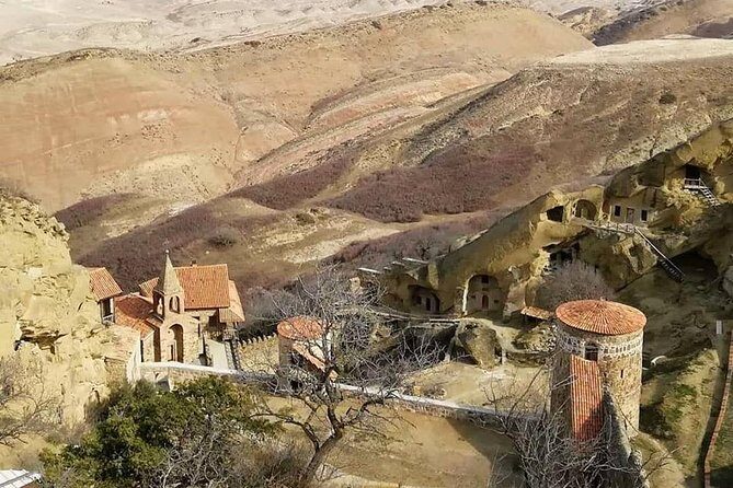 Full day tour to Kakheti: David Gareja and Signagi Town - Timing and day flow: from 8:00 AM pickup to a full-circle return