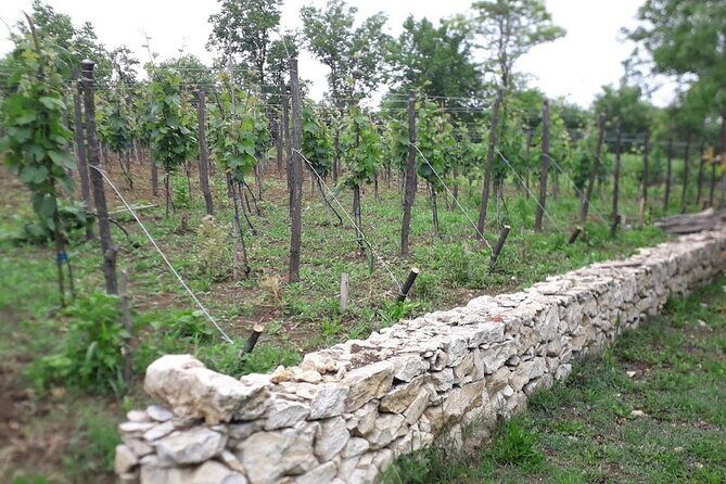 Gelati, Prometheus, Sanatoriums and Wine tour - Price and value: what $42.14 actually covers
