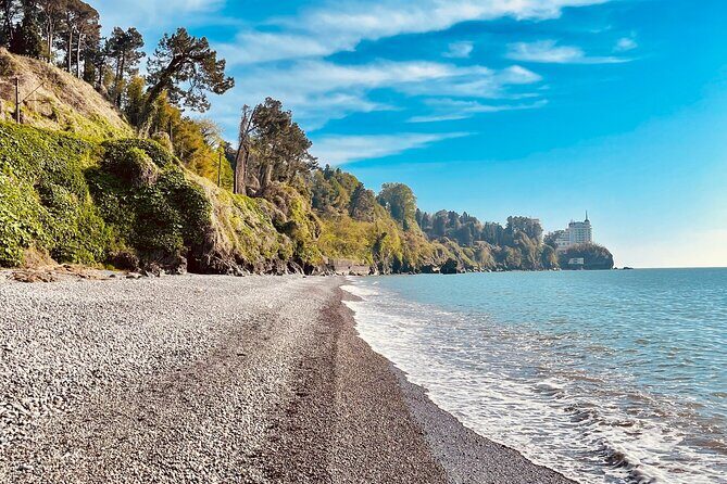 Georgia in 7 Days: A Haven for Nature and Sea Lovers - Private, English-Led Touring That Keeps You Moving (Without the Rush)