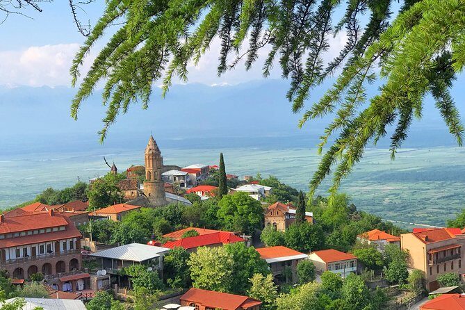Kakheti and Sighnaghi tour with winetasting - Key highlights worth your time