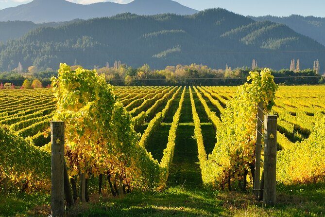 Kakheti: Bodbe, Sighnaghi, Telavi Wine Tour from Tbilisi - Gombori Pass and Ujarma Fortress: quick scenic breaks that add variety