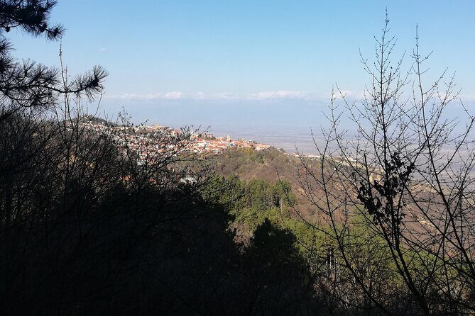 Kakheti Full Day Private Tour - Stop 2: Bodbe Monastery of St. Nino for a quieter, spiritual pause