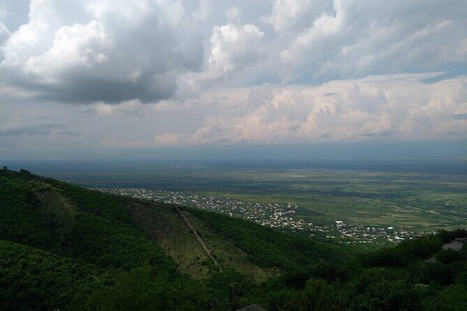 Kakheti-Sighnaghi Day Trip with wine tasting and Bodbe Monastery - Patardzeuli wine degustation: 4 wines plus chacha, done right