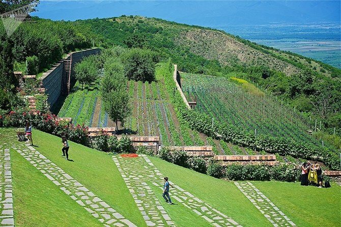 Kakheti: Signagi, Bodbe Monastery, Telavi, Wine Tour. Private tour - Private vehicle, Wi‑Fi, and a full 11-hour schedule you’ll actually manage