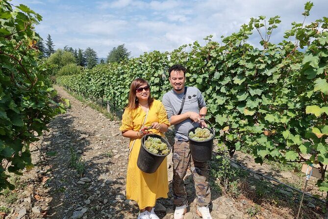 Kakheti - Small wineries and family-cooked lunch • Private tour - Stop 5: Kardenakhi family home feast (the meal you’ll remember)