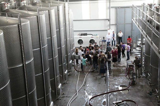 Kakheti Wine & Sighnaghi Private Tour from Tbilisi - Patardzeuli and the KTW Wine Stop: Your First Five Wines