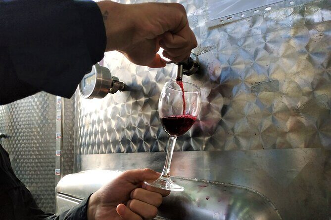 Kakheti Wine Tour with 20+ Wine Tastings & Qvevri Masterclass - Kvareli wine tunnel (Khareba’s): 7 km of aging inside the mountain