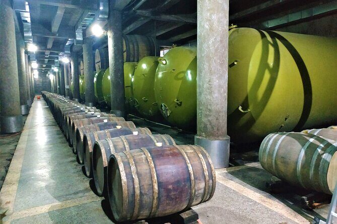 Kakheti Wine Tour with 20+ Wine Tastings & Qvevri Masterclass - KTW factory stop: stainless tanks, oak barrels, and straight-from-source pours