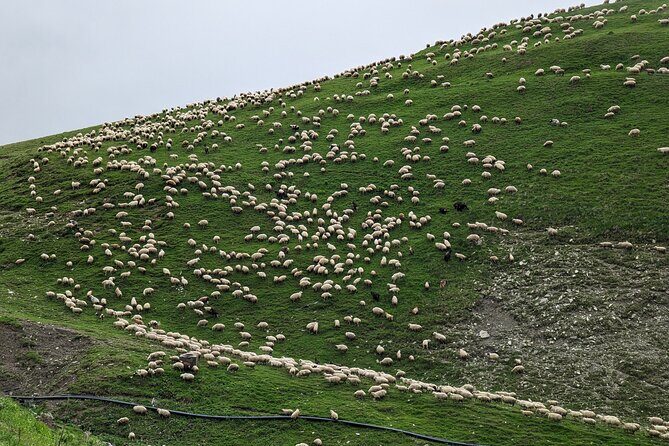 Kazbegi & Gudauri Private Full-Day Tour From Tbilisi - Kazbegi And Gergeti Trinity: When the Road Dictates the Best Angle