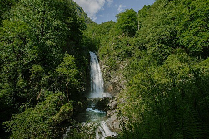 Lagodekhi - A day hiking from Tbilisi - Key highlights you’ll care about