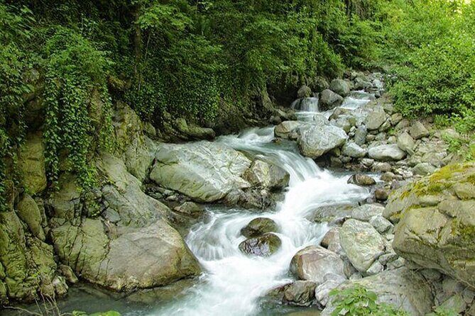 Lagodekhi - A day hiking from Tbilisi - What to pack and wear for a moderate, rocky forest hike