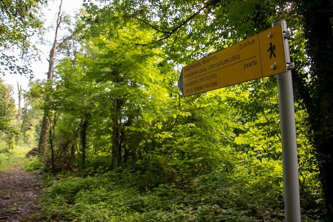 Lagodekhi - A day hiking from Tbilisi - Following the Ninoskhevi River: the forest trail you’ll remember