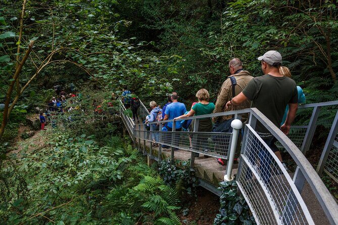 Martvili canyon & Prometheus Cave group tour from Tbilisi - The 14-hour schedule: how to make it feel like a win