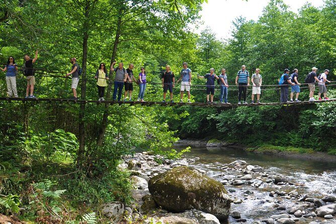 Mtirala National Park Tour - Getting Out of Batumi: Why Mtirala Fits a Half-Day